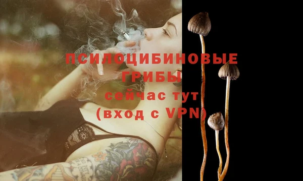 амф Белокуриха