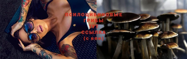 гидра Беломорск