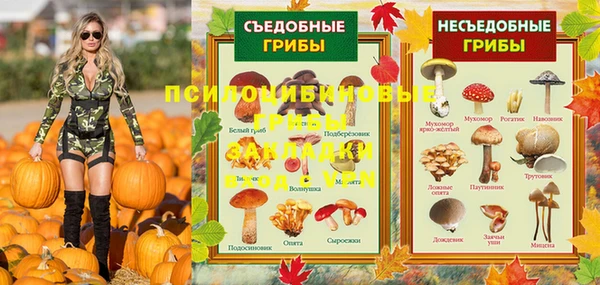 амф Белокуриха