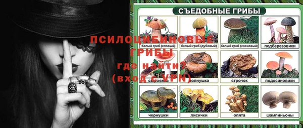 гидра Беломорск